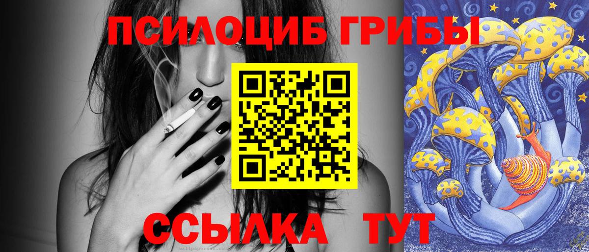 купить  сайты  Вход с VPN  Карталы  Галлюциногенные грибы Psilocybine cubensis 