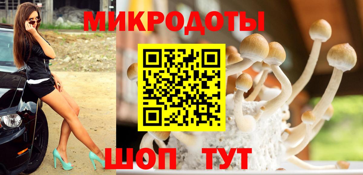 Галлюциногенные грибы ЛСД Карталы